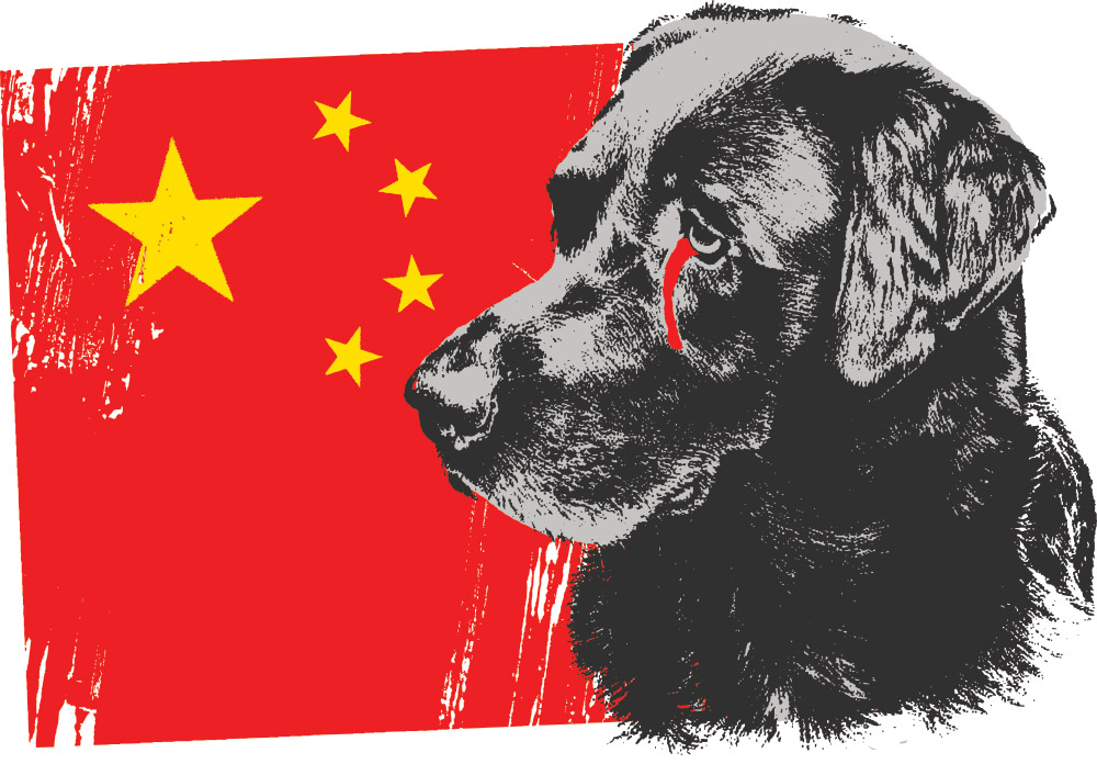 stopyulinfeature1